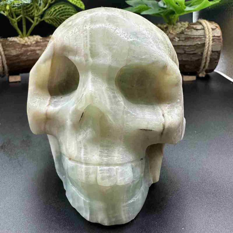 1545g natural Caribbean calcite hand carved skull quartz crystal healing decor