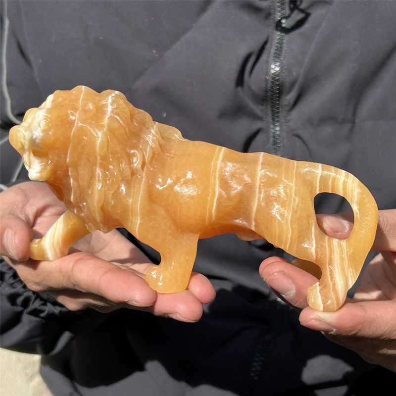 0.56kg Natural yellow calcite lion skull carved Quartz Crystal skull Healing