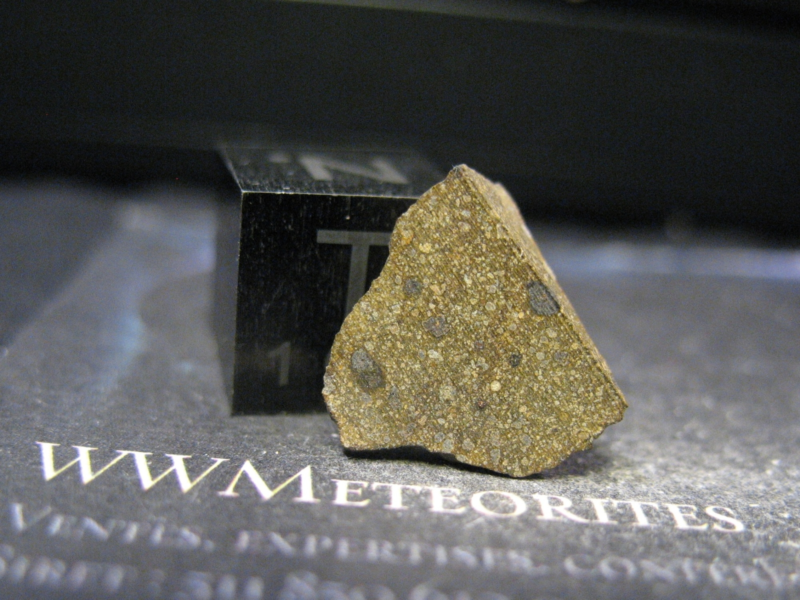 Meteorite NWA 11086 - CM-Anomalous - Proposed member of the new CT group