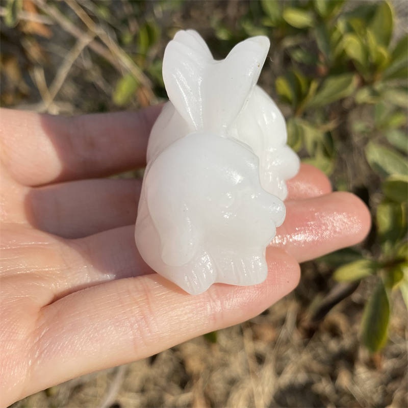 1pc Natural white jade Angel dog hand carved Quartz Crystal stone skull Reiki h