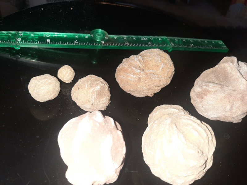 Seven pieces selenite desert rose crystal rocks ,gypsum stone, sand color