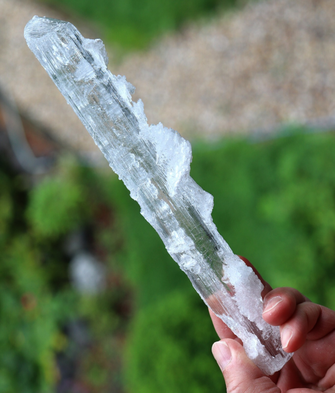 Doubly terminated Gypsum var. Selenite. 24 cm. Lily Mine, Pisco Prov., Ica, Peru