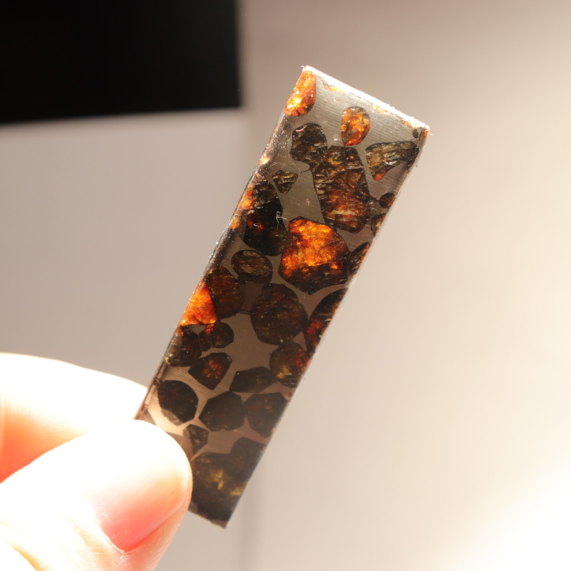 7g Rare slices of Kenyan Pallasite olive meteorite A59