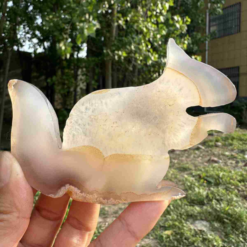 110g natural agate hand carved squirrel skull quartz crystal cluster reiki