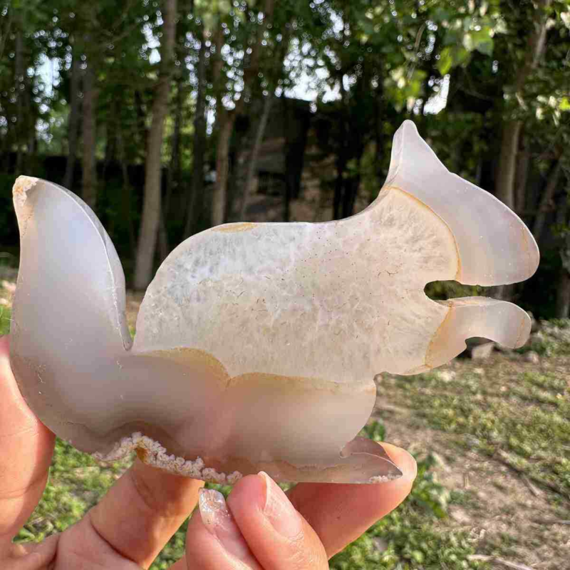 110g natural agate hand carved squirrel skull quartz crystal cluster reiki