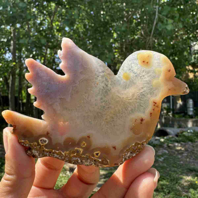 130g natural agate hand carved bird skull quartz crystal cluster reiki