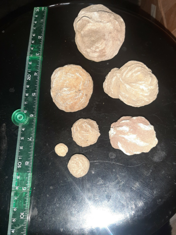 Seven pieces selenite desert rose crystal rocks ,gypsum stone, sand color