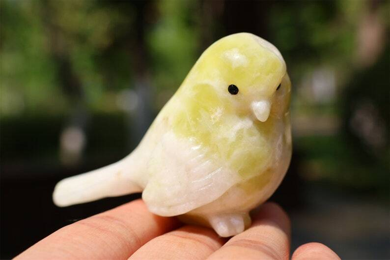 2.4" Natural Lantian jade Carved bird Reiki Creative Crystal Skull decor gift 1x