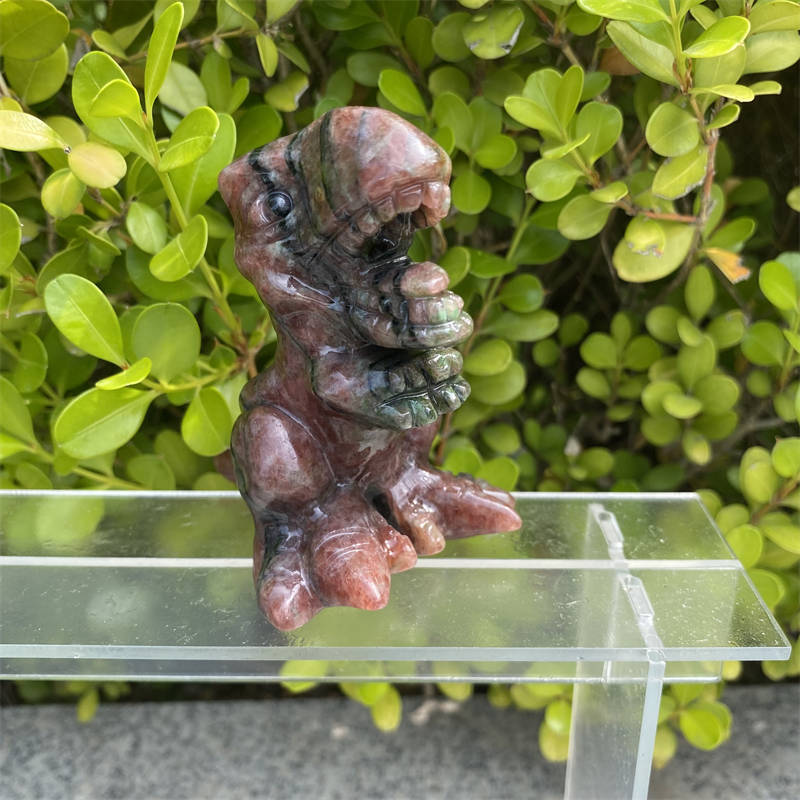 1pc mixed Natural stone dinosaur carved Quartz Crystal stone skull Reiki healing