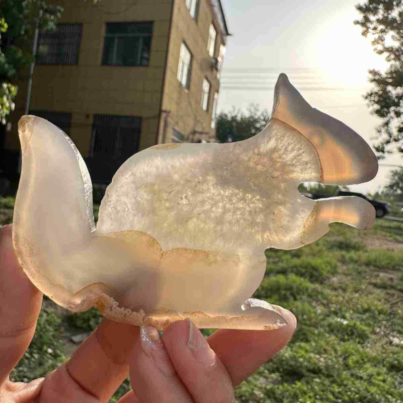 110g natural agate hand carved squirrel skull quartz crystal cluster reiki