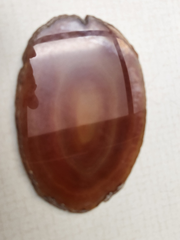 Lot 5: Agate Slices, Small Fossil Nodule, Orthoceras Fossil, White gypsum Rocks