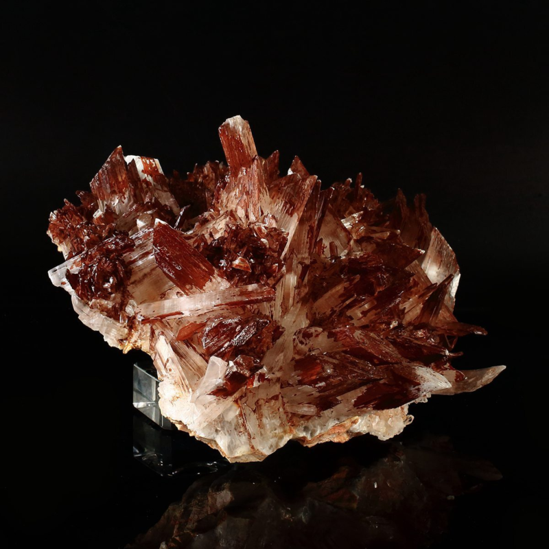 1508g Beautiful Natural Gypsum Cluster Selenite Mineral Specimen Decoration Gift