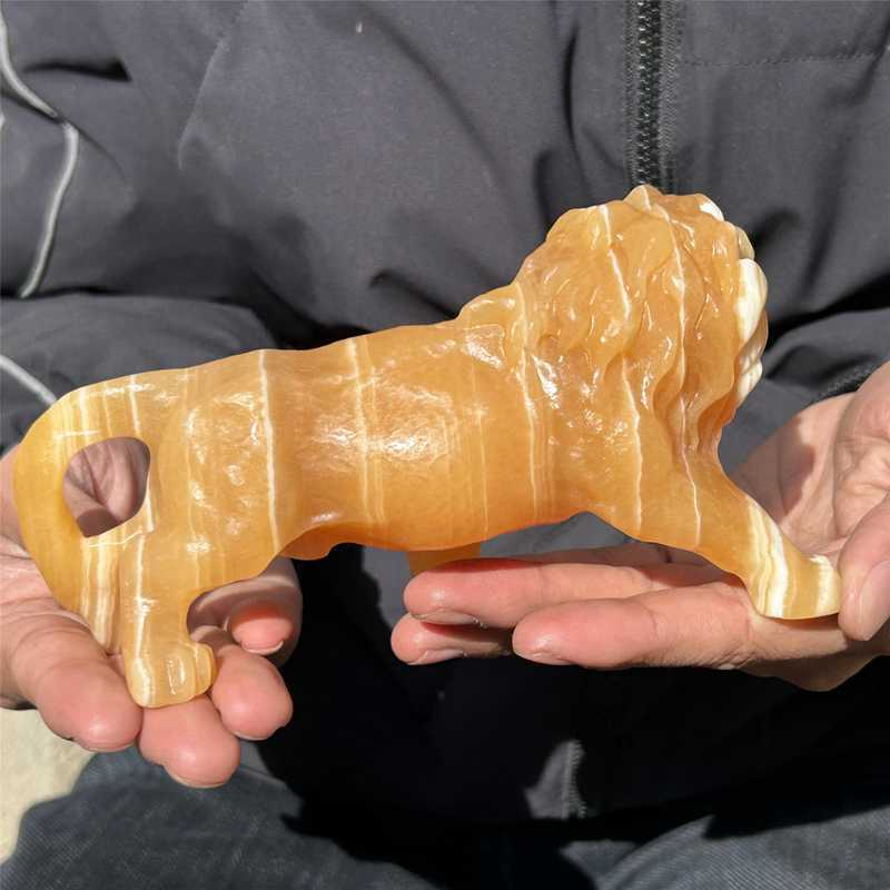 0.56kg Natural yellow calcite lion skull carved Quartz Crystal skull Healing