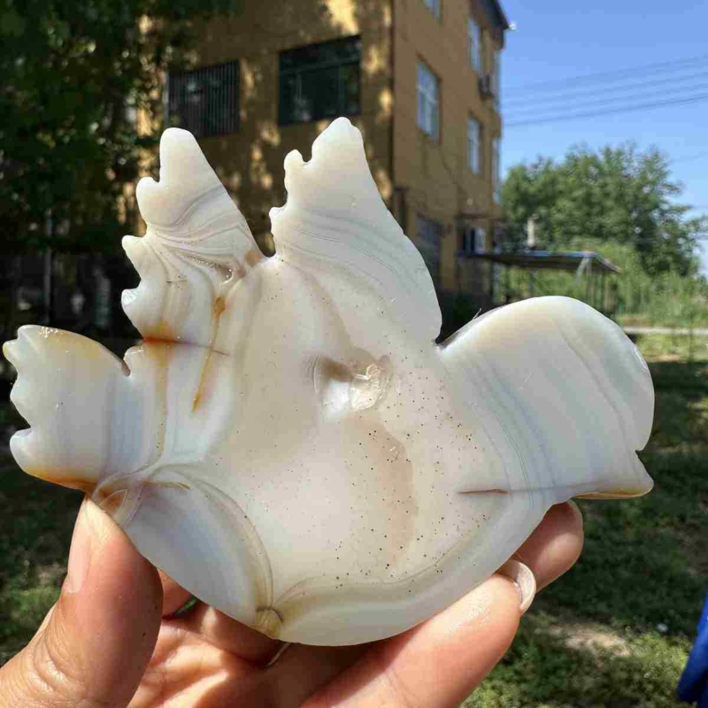 135g natural agate hand carved bird skull quartz crystal cluster reiki