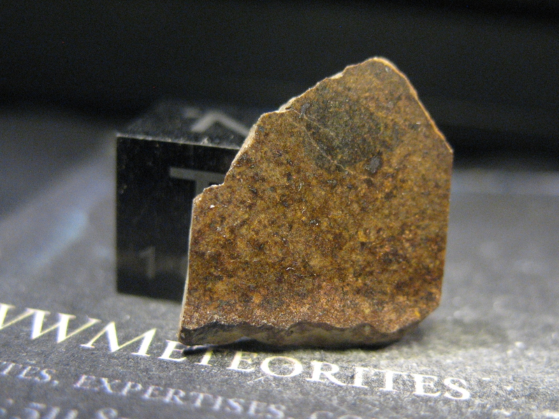 Meteorite NWA 14103 - Chondrite LL7 - Recrystallized with triple junctions