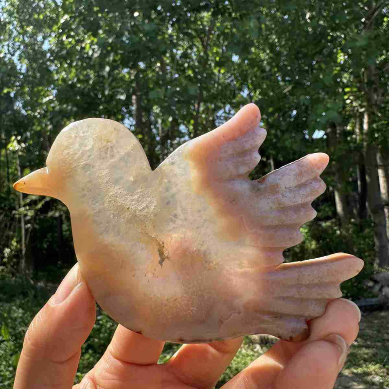 130g natural agate hand carved bird skull quartz crystal cluster reiki