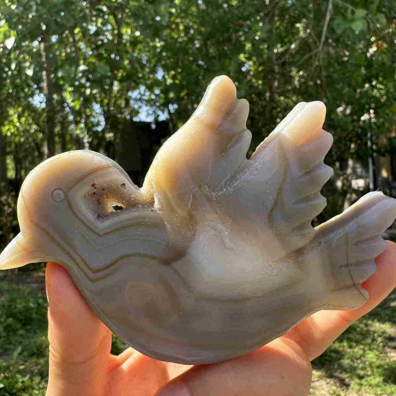 145g natural agate hand carved bird skull quartz crystal cluster reiki
