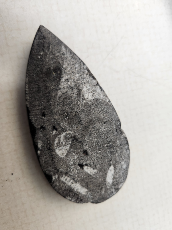 Lot 5: Agate Slices, Small Fossil Nodule, Orthoceras Fossil, White gypsum Rocks