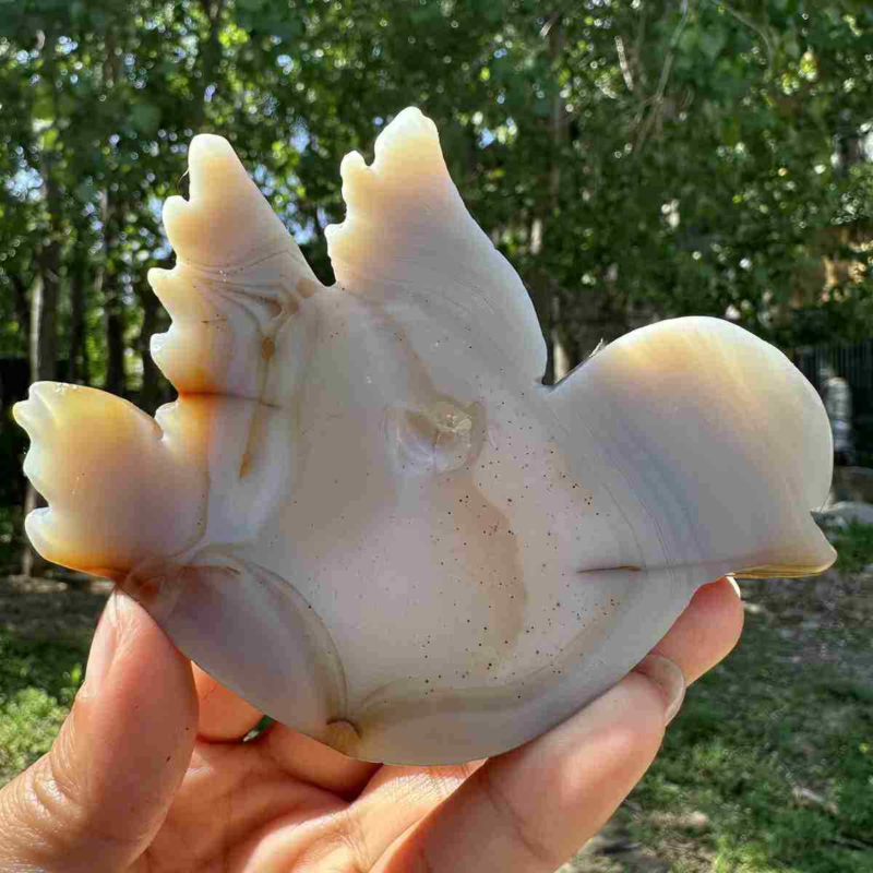 135g natural agate hand carved bird skull quartz crystal cluster reiki