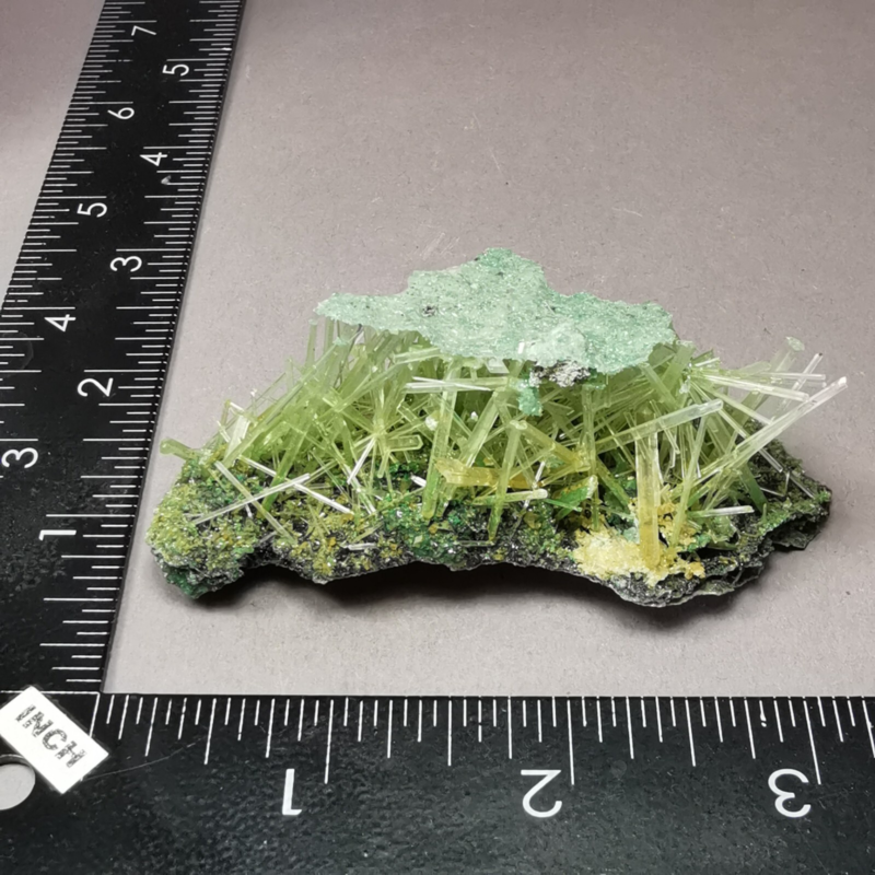 13.5 g RARE Gypsum var. Selenite w. Atacamite / Poland / Rough Crystal Specimen