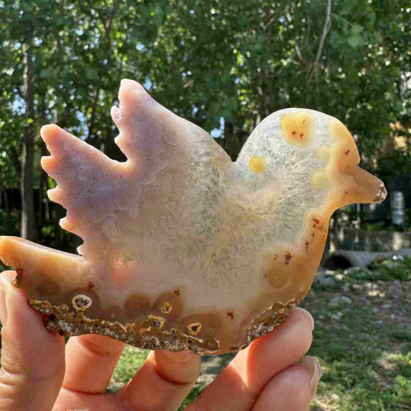 130g natural agate hand carved bird skull quartz crystal cluster reiki