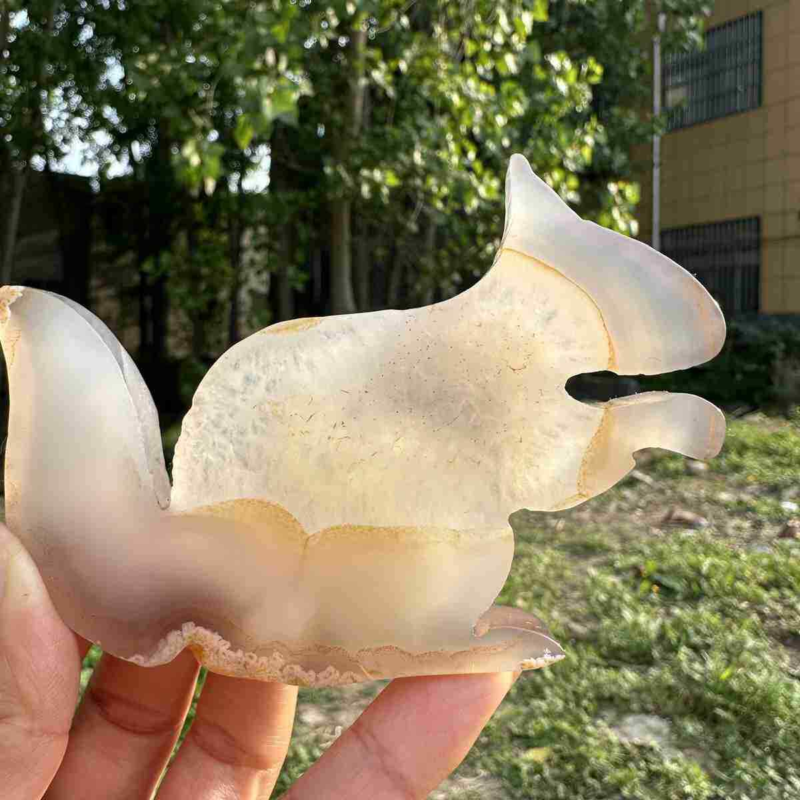 110g natural agate hand carved squirrel skull quartz crystal cluster reiki