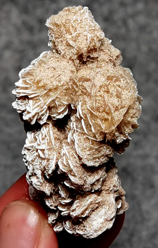 45 Gram Gypsum Selenium Stone Rose Adenium Obesum Sand Rose Namibia Desert