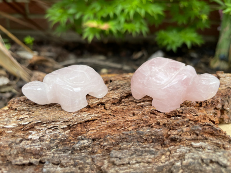 Tortoise Hand Carved Gemstone Figurine | Crystal Turtle | Crystal Healing Animal