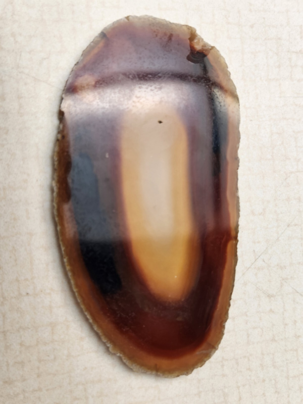 Lot 5: Agate Slices, Small Fossil Nodule, Orthoceras Fossil, White gypsum Rocks