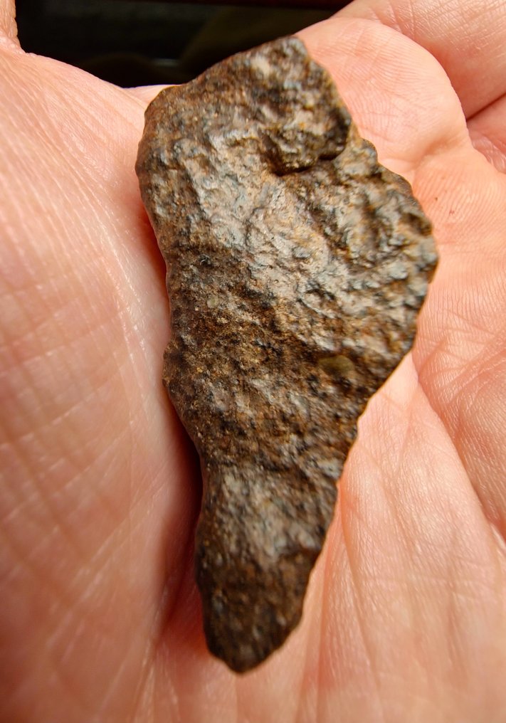 This is 1 of only 8 Meteorite approved as Achondrite-Primitive-Ungrouped. NWA 15061 - 26.26 g - (1)