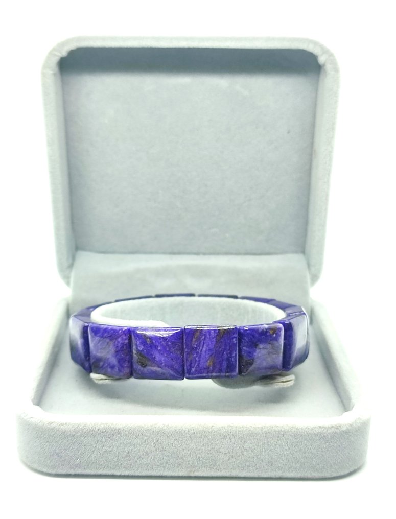 Beautiful Chariote Bracelet - Bracelet