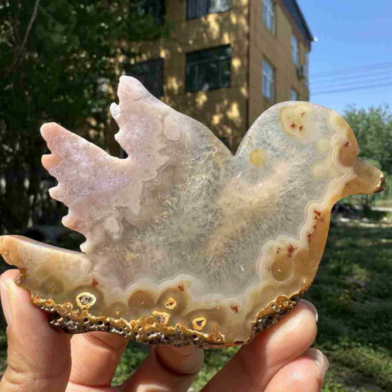 130g natural agate hand carved bird skull quartz crystal cluster reiki