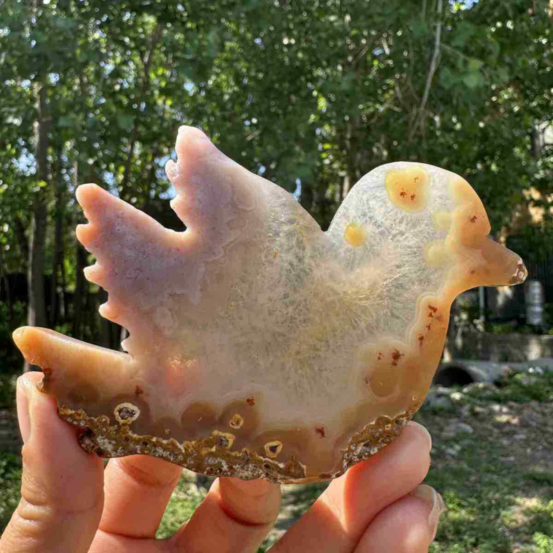130g natural agate hand carved bird skull quartz crystal cluster reiki
