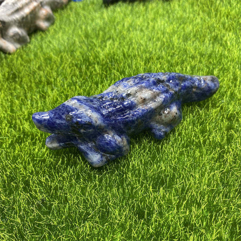 1pc Natural sodalite salamander Quartz hand carved Quartz Crystal stone skull Re