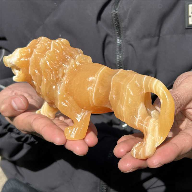0.56kg Natural yellow calcite lion skull carved Quartz Crystal skull Healing