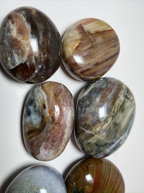 Palm Stone Lot/ Mixed Materials