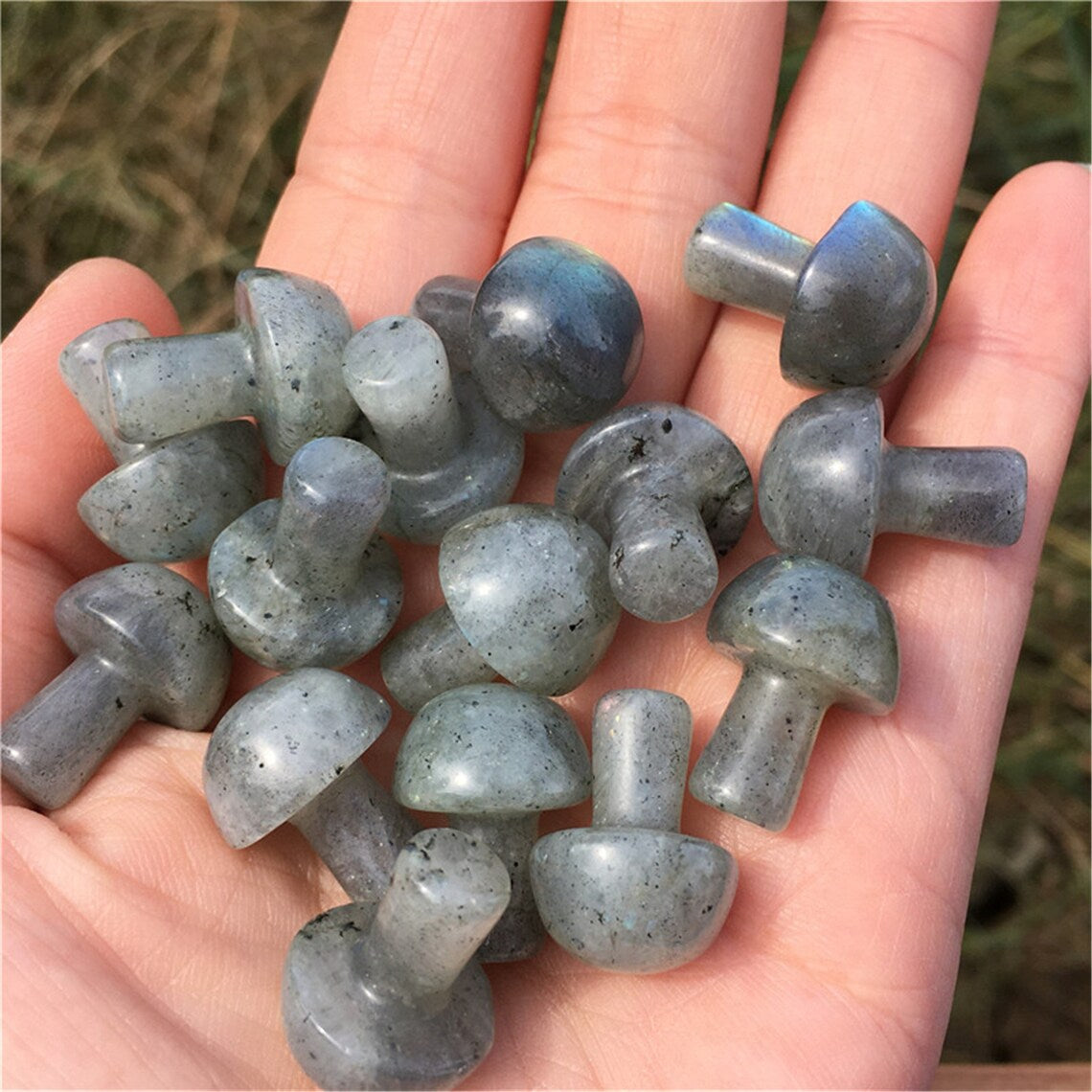 2pcs Natural Labradorite Mushroom Carved Quartz Crystal