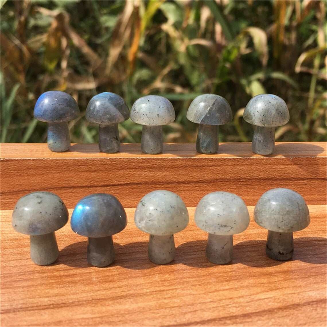 2pcs Natural Labradorite Mushroom Carved Quartz Crystal