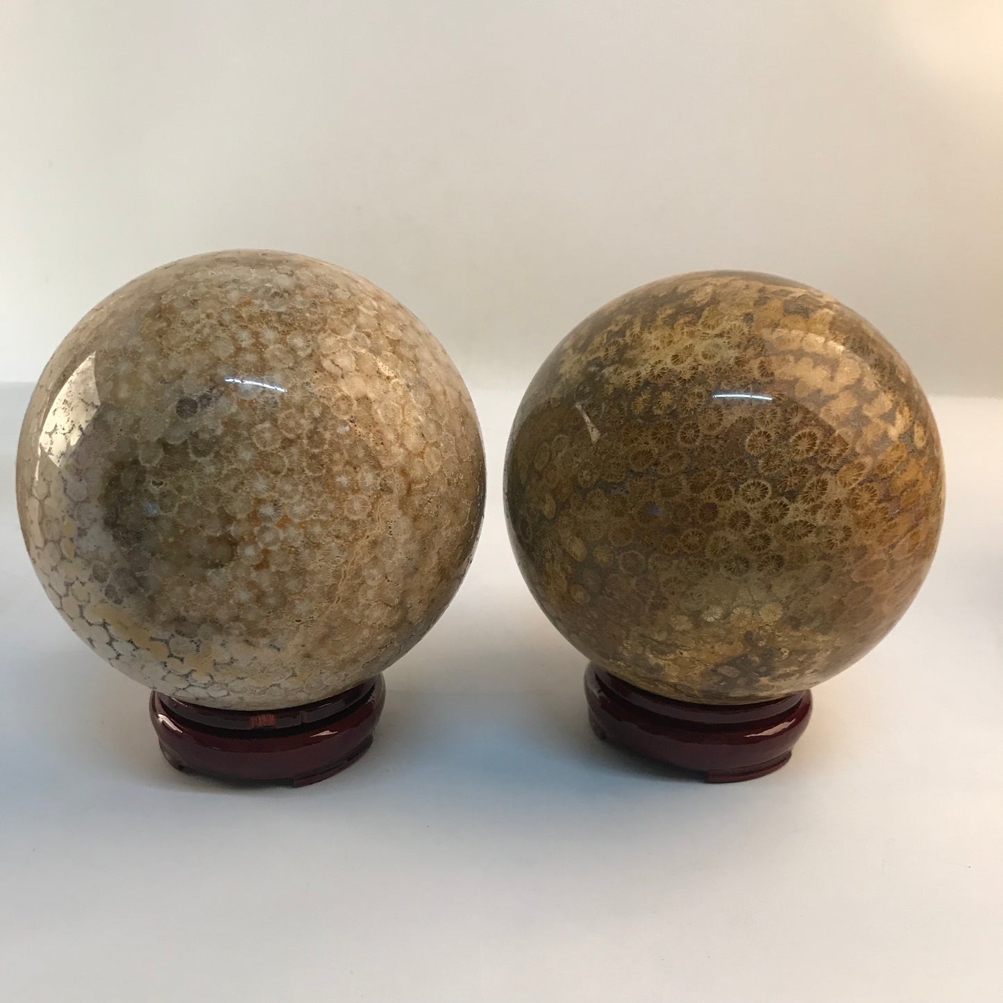 wholesale Natural Crystal Stone Sphere Polished Coral Jade Crystal Balls for decoration