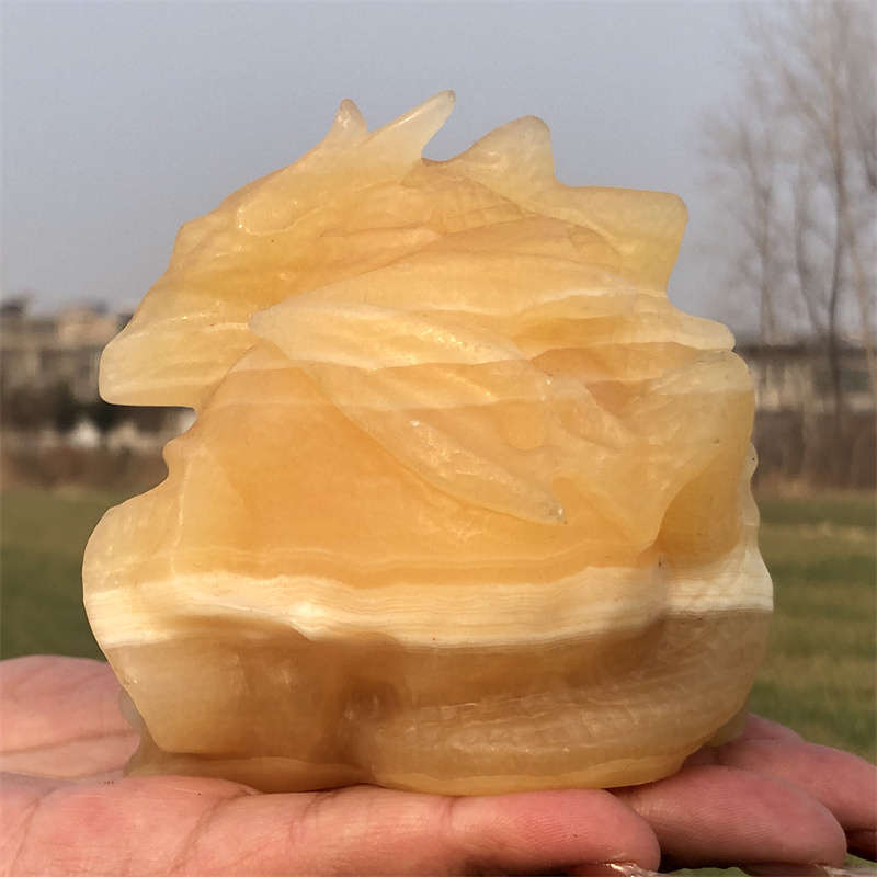 600g Natural carved geodes stone dragon Skull Reiki crystal skull decor crystal