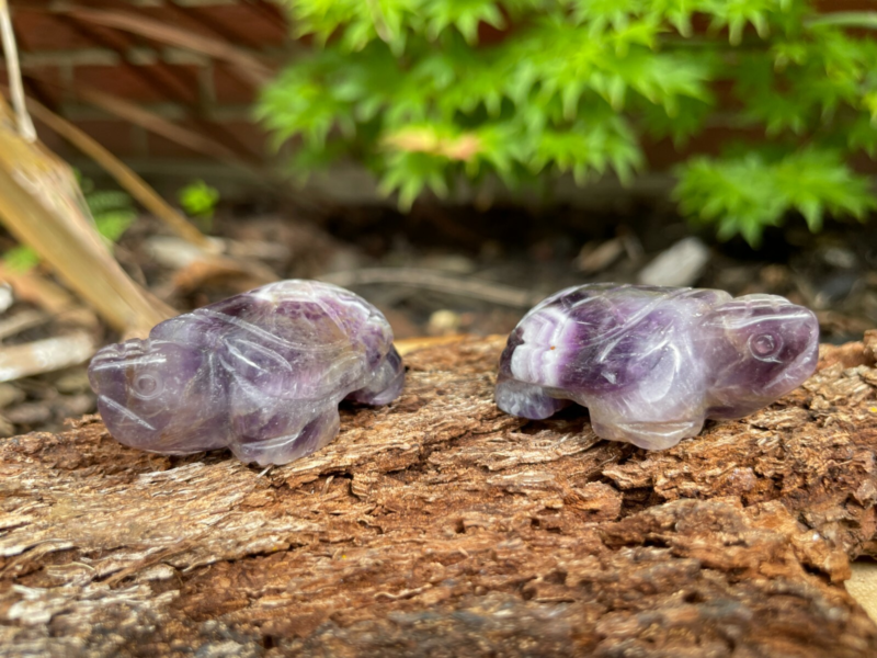 Tortoise Hand Carved Gemstone Figurine | Crystal Turtle | Crystal Healing Animal