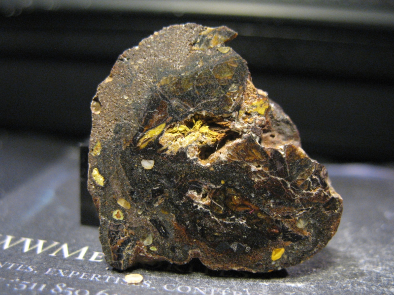 Meteorite NWA 15997 - Pallasite