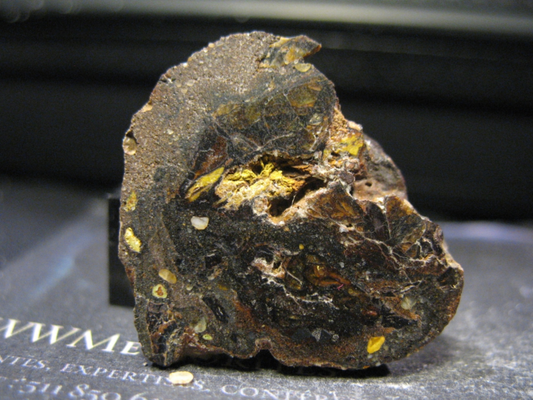 Meteorite NWA 15997 - Pallasite