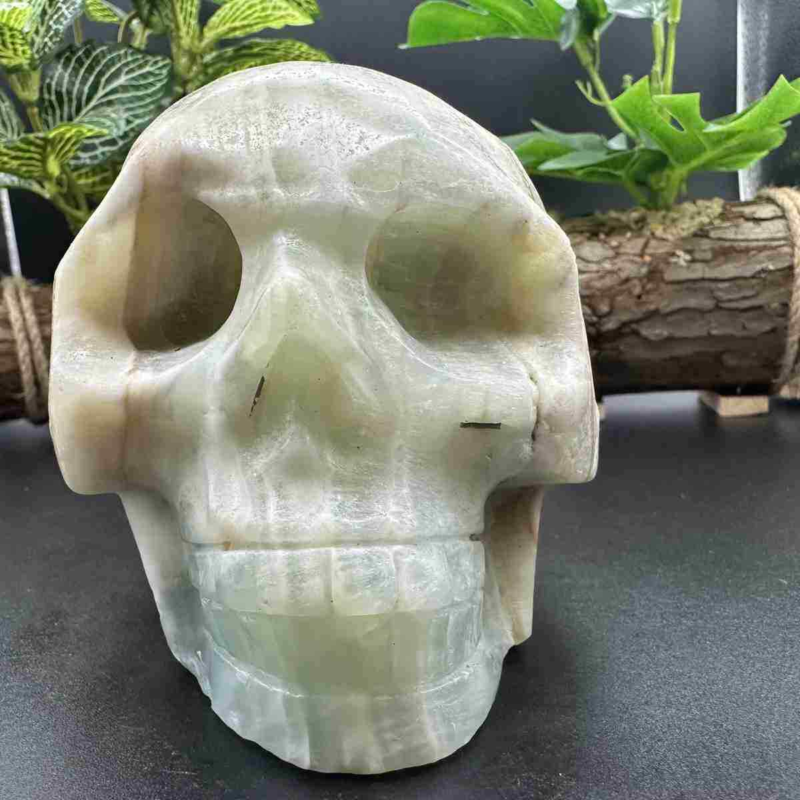 1545g natural Caribbean calcite hand carved skull quartz crystal healing decor
