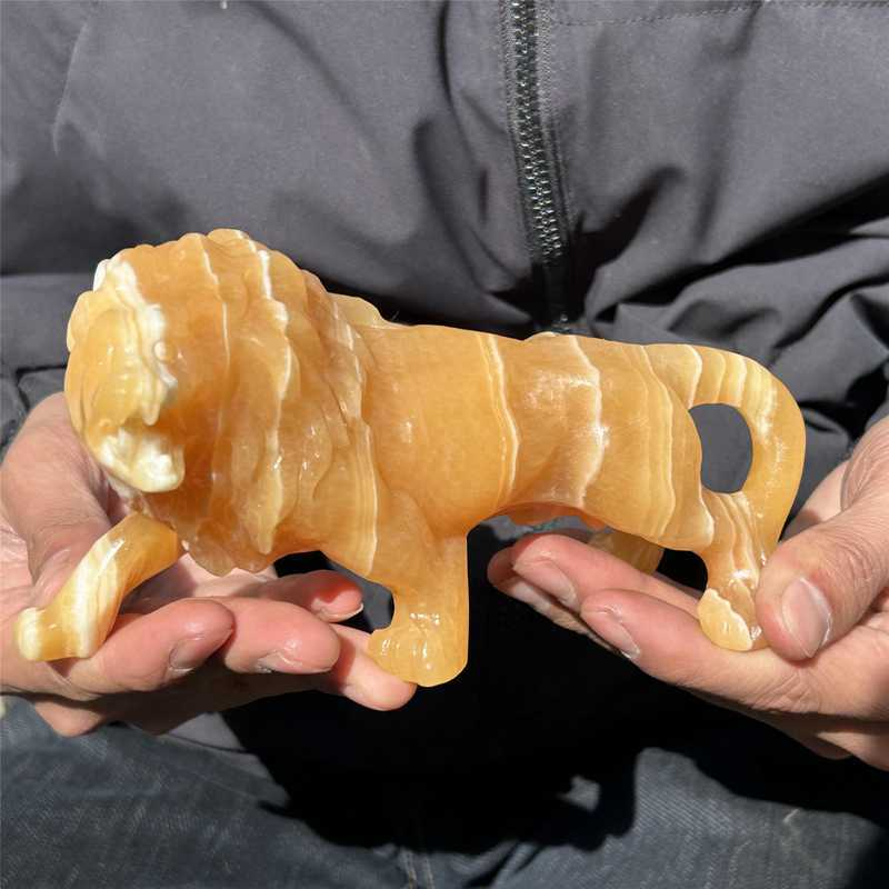 0.56kg Natural yellow calcite lion skull carved Quartz Crystal skull Healing