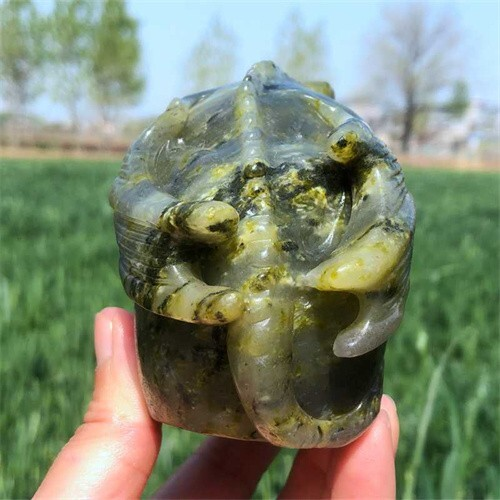 500g Natural carved Unknown Stone dragon Skull reiki quartz crystal skull polish