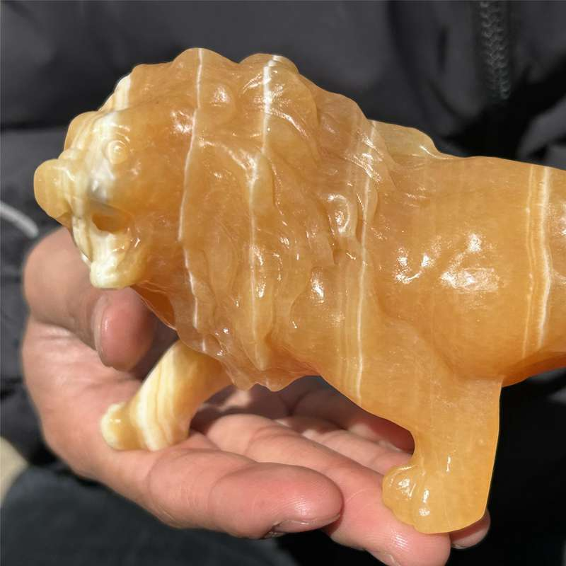 0.56kg Natural yellow calcite lion skull carved Quartz Crystal skull Healing