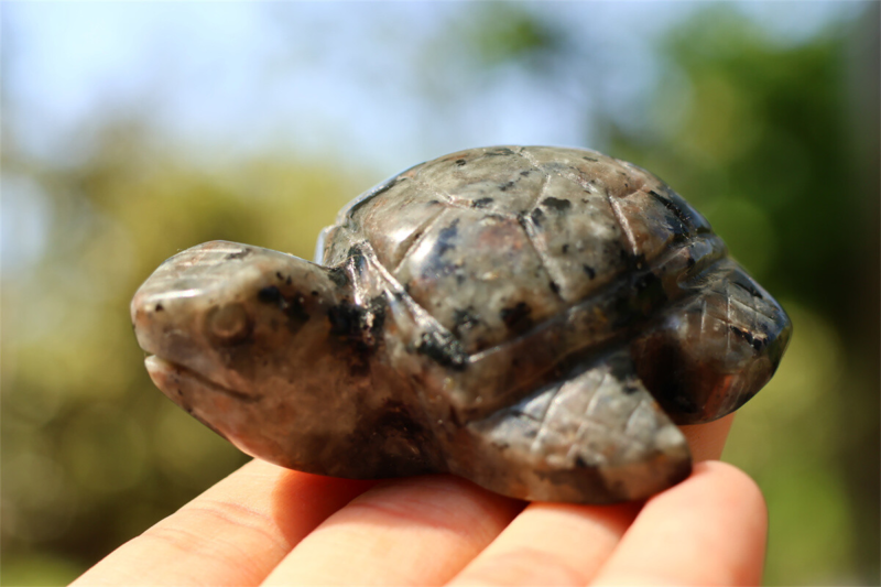 2&apos;&apos; Carved Natural Yooperlite sea Turtle Reiki Quartz Crystal Skull Healing 1pc