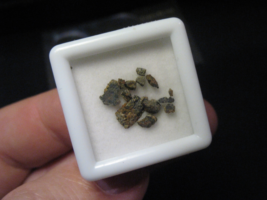 Martian Meteorite NWA 13369 - Poikilitic Shergottite (Peridotitic)