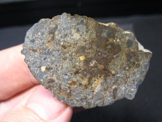 Meteorite NWA 11491 - Eucrite Polymict... - LAST SPECIMEN - MAIN MASS
